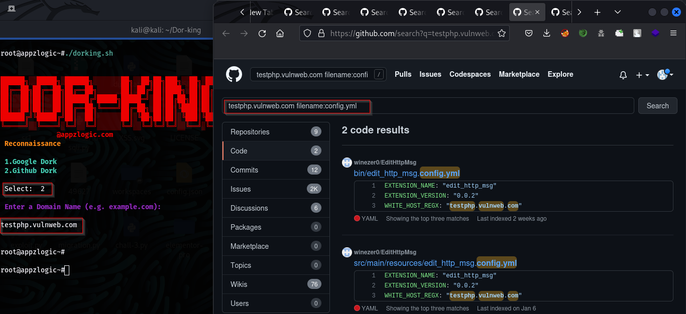 Find information using Github Dorks